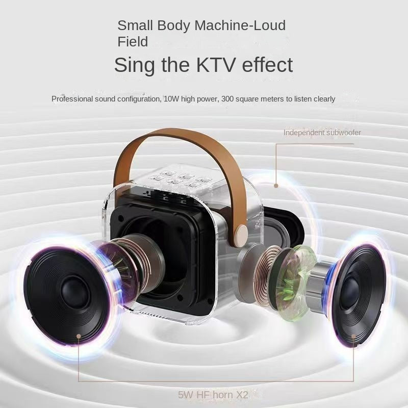Bluetooth Karaoke Mikrofon Lautsprecher – Portables All-in-One KTV Set