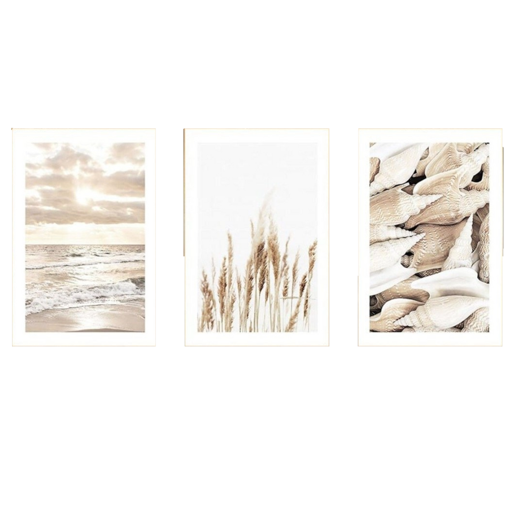 Poster Sonnenaufgang am Strand Muscheln und Pampas Gras als Deko Print ohne Rahmen