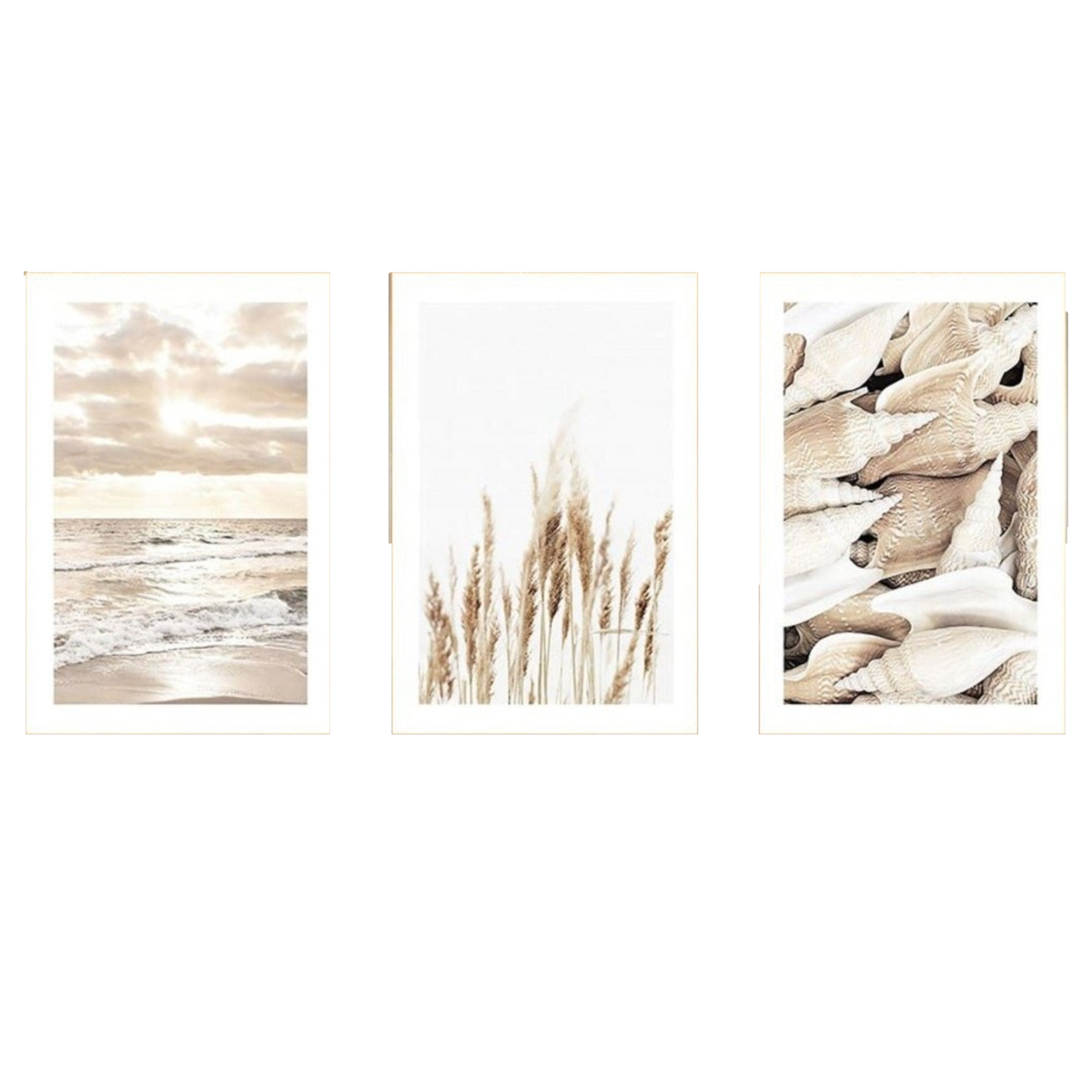 Poster Sonnenaufgang am Strand Muscheln und Pampas Gras als Deko Print ohne Rahmen