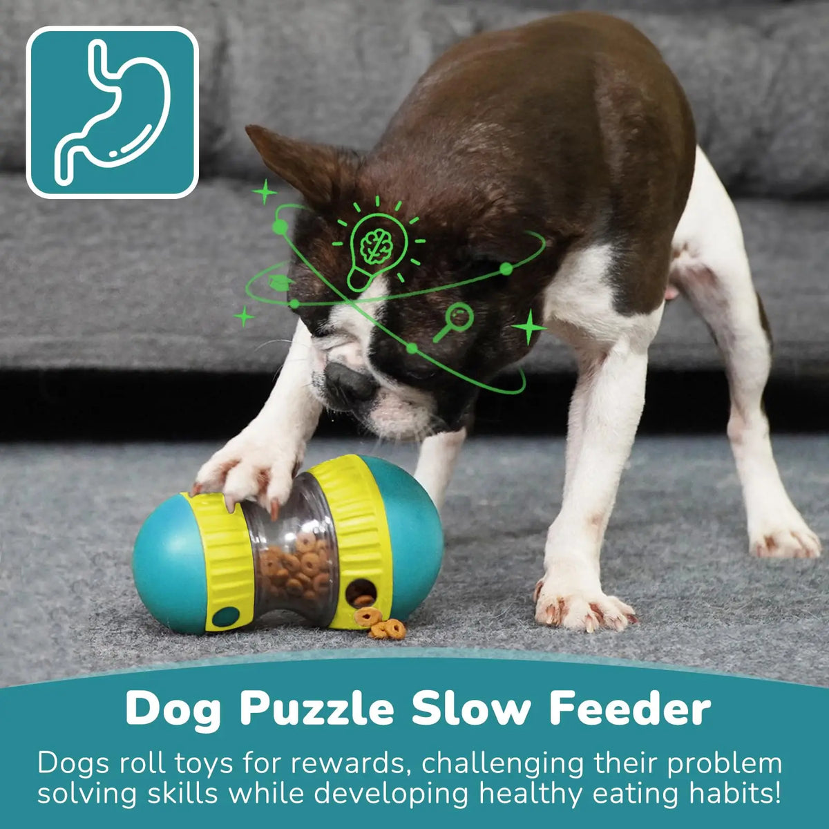 Slow Feeder Ball für Hunde – Verstellbares Puzzle-Spielzeug mit Leckerlifächer (S/M/L)
