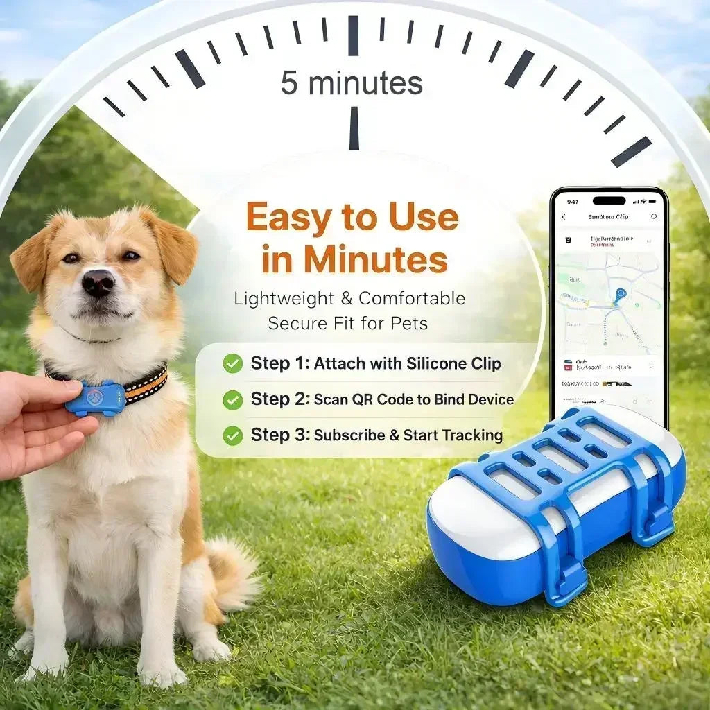 GPS Haustier-Tracker 4G – Echtzeit-Ortung für Hunde & Katzen, integrierte SIM, IP67, WLAN-Modus