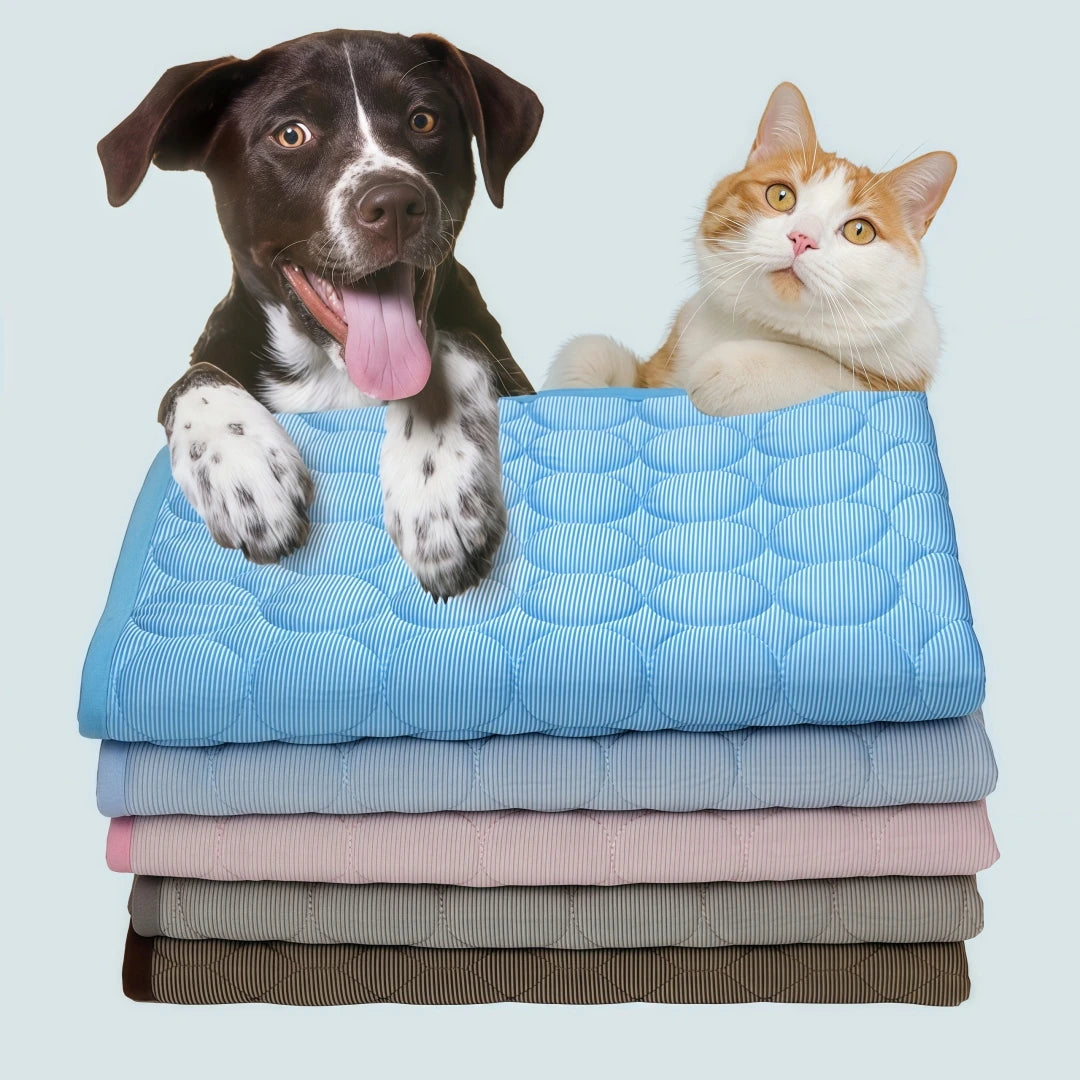 Haustier-Kühlmatte aus Eisseide – Rutschfest, waschbar, atmungsaktiv (Hunde & Katzen)