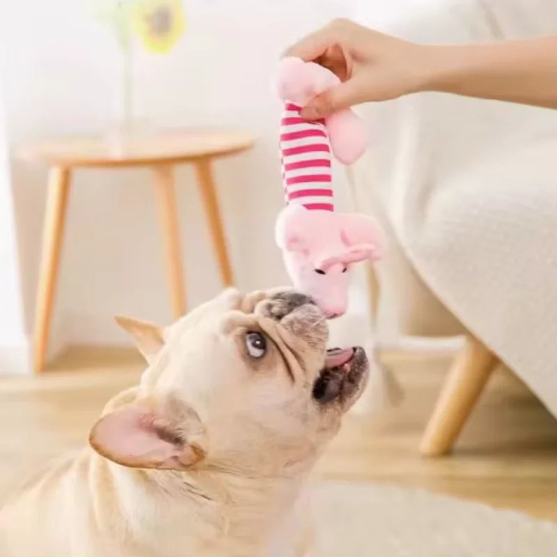 Quietschendes Plüsch-Hundespielzeug – Kauspielzeug für Welpen & Hunde