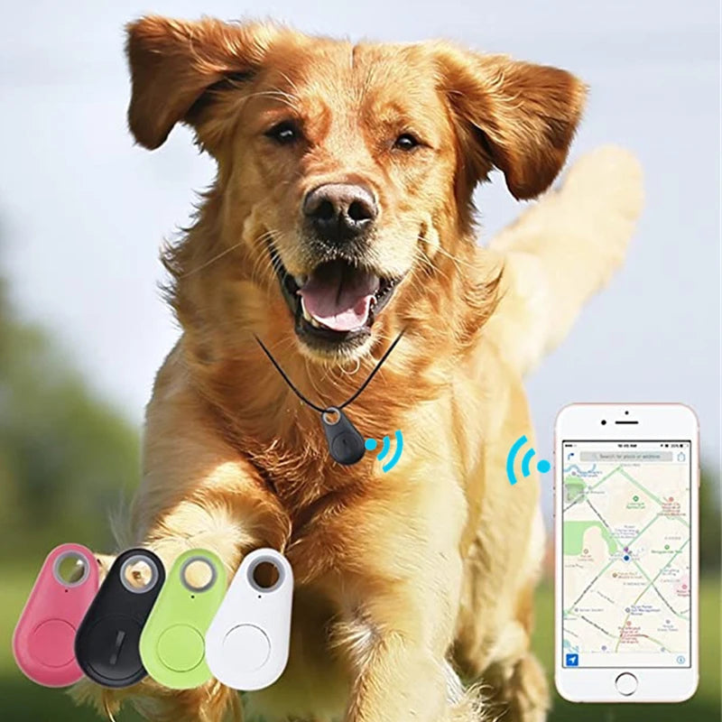 Bluetooth GPS Tracker für Haustiere – Mini Anti-Verlust Ortungsgerät für Hund, Katze & mehr