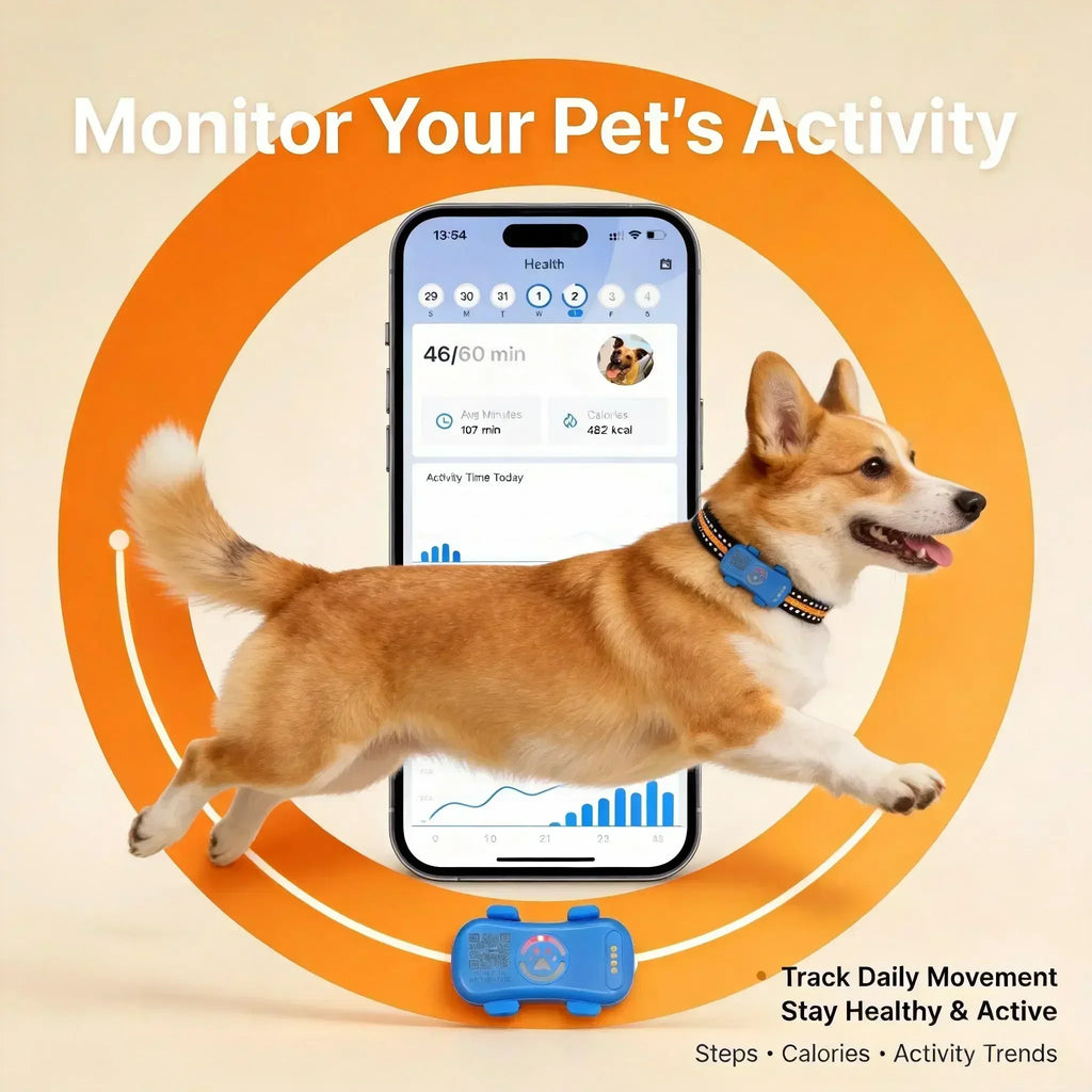 GPS Haustier-Tracker 4G – Echtzeit-Ortung für Hunde & Katzen, integrierte SIM, IP67, WLAN-Modus