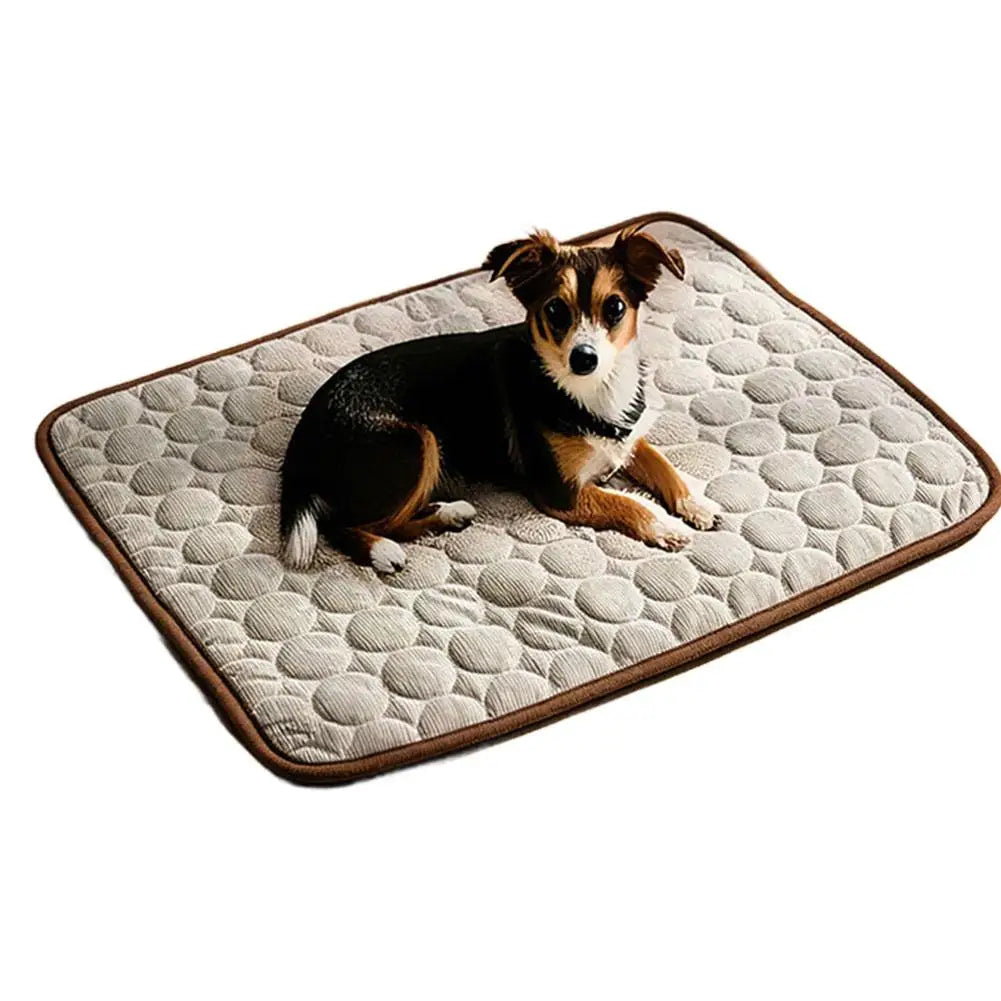Kühlmatte für Hunde & Katzen – Eisseide, waschbar & tragbar (Sommer Schlafmatte)