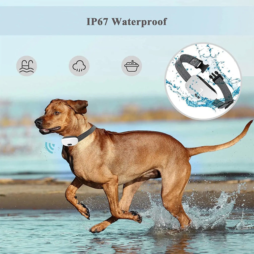 Anti-Bell-Halsband für Hunde – Vibration & Ton-Training, IP67 Wasserdicht, Wiederaufladbar