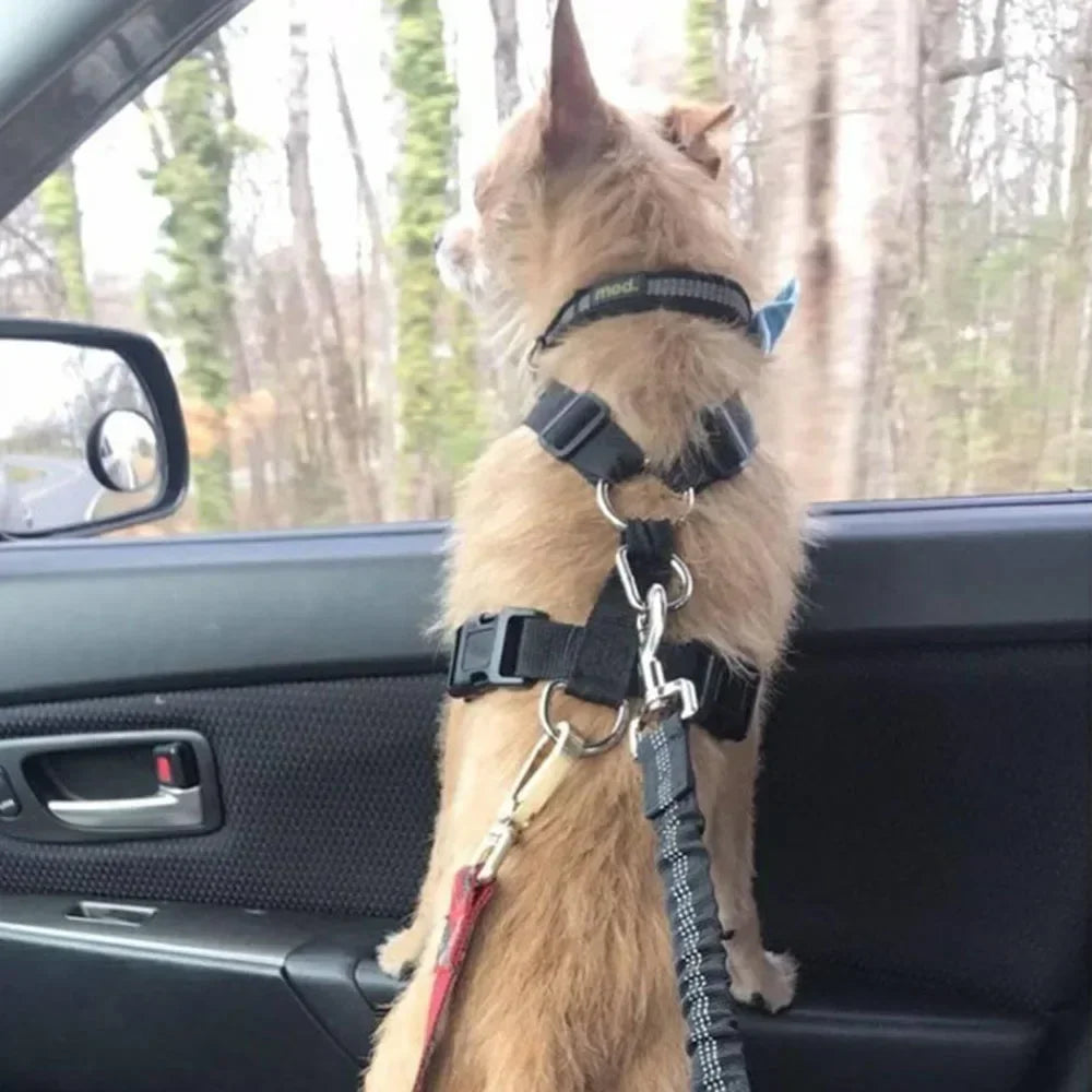Hunde-Sicherheitsleine & Autogurt – Elastische Reflektierende Sicherheitsleine für Hunde