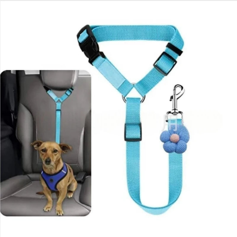Hunde-Sicherheitsgurt fürs Auto – Verstellbare Nylon-Sicherheitsleine für Hunde