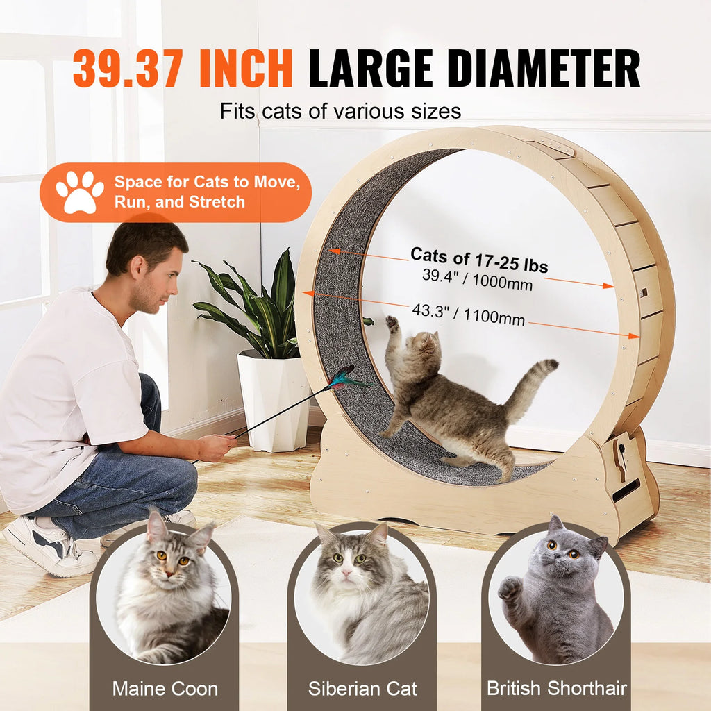 Katzen-Laufrad aus Holz – Großes Laufrad für Hauskatzen, leise, 5 Größen, abnehmbarer Teppich